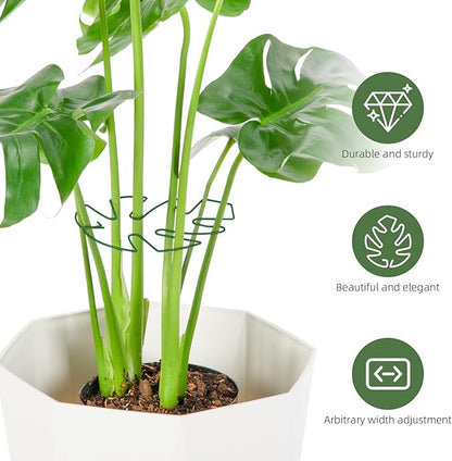 6PCS Iron Monstera Plant Support, Uniquely Designed Indoor Plant Accessories, Stable Plant Support Stakes for Indoor Plant, Turtle Shell Bamboo Clamp Set for Thriving Growth