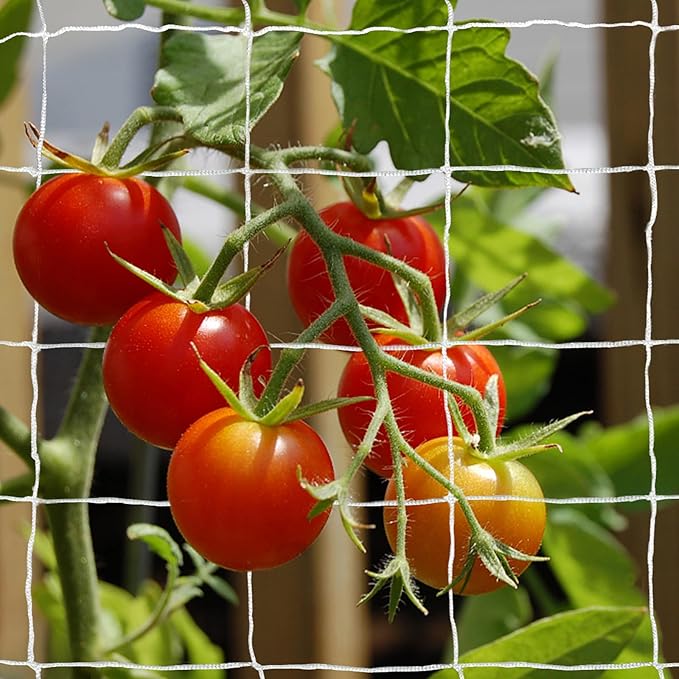 Tcamp Trellis Netting for Climbing Plants Outdoor Indoor (6" Square Mesh Ployester, 5ft x 15ft) (2 Pack)
