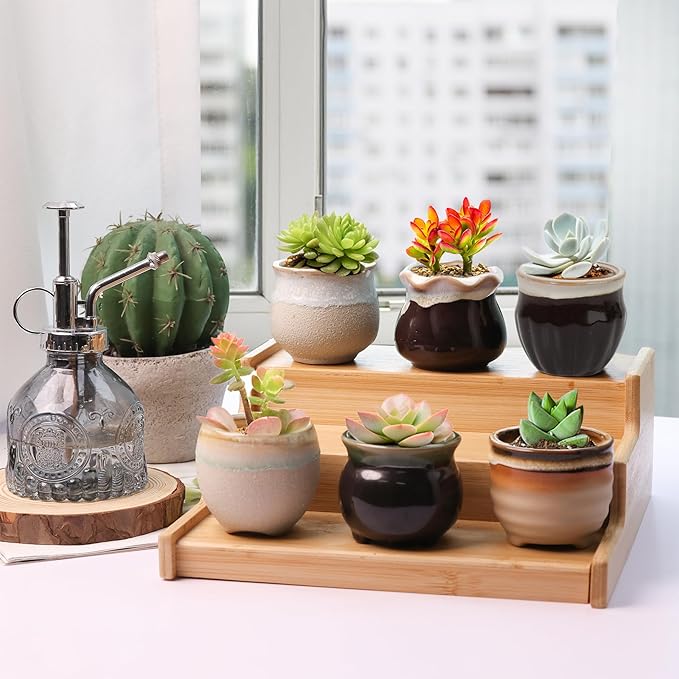 Ceramic Succulent Pots, 12-Pack Mini Planters with Flowing Glaze