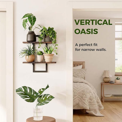 Bamworld Wall Planters for Indoor Plants Window Plant Shelves Vertical Plant Holder Wall Decor Plant Stand Indoor Floating Shelves for Plant Hangers for Living Room Bedroom Bathroom