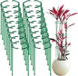 36 Pack Plant Support Stakes Sets - Versatile Plant Cages, Stackable Garden Flower Support， Small Plant Stakes for Indoor Plants,Tomato,Monstera, Peony, Hydrangea, Climbing Plants