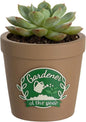 Gardening Gifts for Women: Hand-Painted 3D Art Cute Succulents Planter - Funny Garden Gifts for Plant Lovers Gardeners Mom Grandma - Cool Plant Pot Present for Christmas Birthday Mother's Day