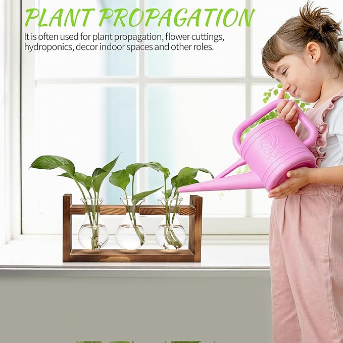 Terrarium Propagation Station, 3 Clear Borosilicate Glass Bulbs, Wooden Stand
