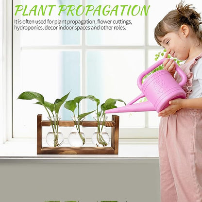 Terrarium Propagation Station, 3 Clear Borosilicate Glass Bulbs, Wooden Stand