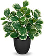 14.5" Artificial Plants Indoor Home Decor, Fake Potted Silk Plants for Shelves Living Room Decorative, Small Artificial Office Desk Plant in Pots, Faux Peperomia Hope Tropical House Plant