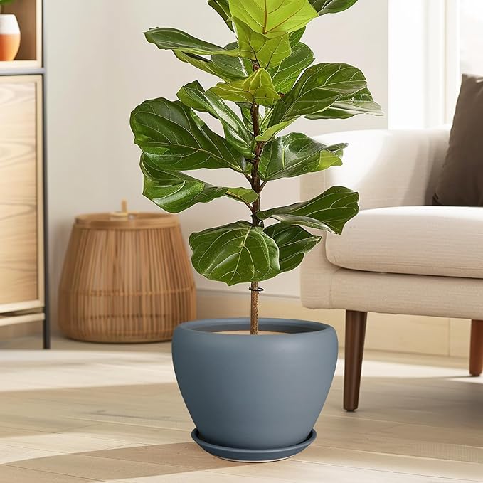 Ceramic Pot for Plants - 8 Inch Plant Pot Indoor with Drainage Hole and Saucer Decorative Planter for Outdoor Plants Modern Flower Pot for Home Decor Garden Gray