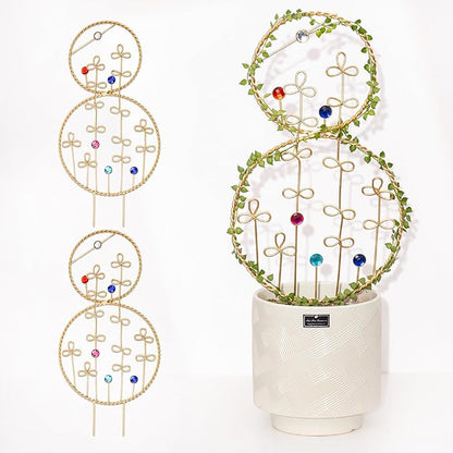 2PCS Hoya Trellis Plant Support Indoor Metal Frame Unique Trellis for Climbing Plants Potted Hoya Pots Small Houseplant Vine Support for Plant Lovers Home Decor