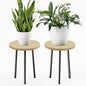 Plant Stand Indoor 14'': Indoor Plant Stand 2 Pack Metal Plant Table - Wood Plant Stool Outdoor Small Round Side End Table Mid Century Modern Decor - Home Decor