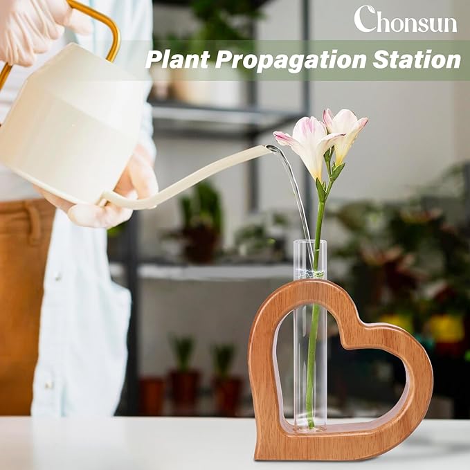 Terrarium Set of 2 with Heart-Shaped Wood Stand and Glass Tube
