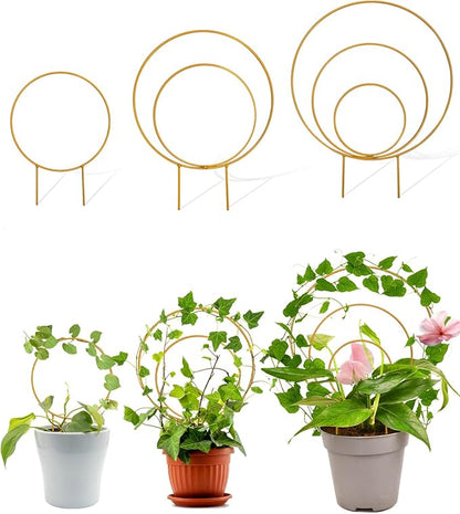 Unique Round Hoya Trellis, 3 Pcs Different Small Houseplant Trellis for Indoor Climbing Plant, Garden Trellis Plant Support for Potted Ivy and Flowers Outdoor(Gold)