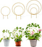 Unique Round Hoya Trellis, 3 Pcs Different Small Houseplant Trellis for Indoor Climbing Plant, Garden Trellis Plant Support for Potted Ivy and Flowers Outdoor(Gold)