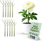 Mini Twigs Plant Support Stakes for Small Plants, Indoor & Outdoor Use, Gardening Supplies, Garden Accessories, Trellis & Ring Alternative, Made in USA - Peony (Light Green), 10 Pack, 12" L