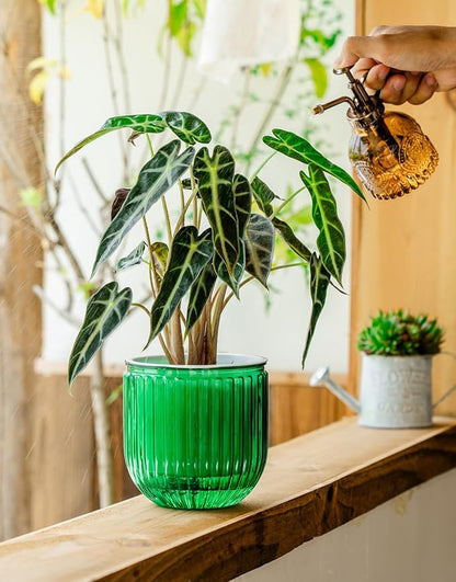 Melphoe Self Watering Pots for Indoor Plants Planter, 5.3 Inch 2 Pack Planters Self Watering Plant Pots for Flower, Houseplants, Succulent, African Violets and Cactus with Drainage