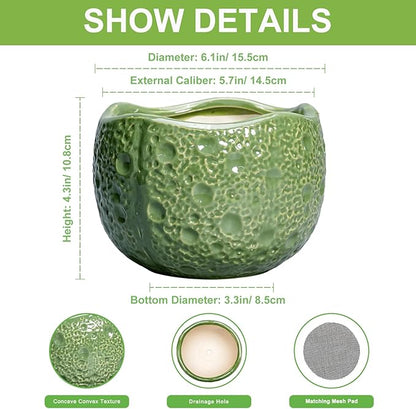6 Inch Plant Pot - Orchid Pot with Drainage Hole, Ceramic Planter for Indoor Outdoor, Decorative Plant Pots, Modern Round Unique Flower Pots, Living Room Decor, Gifts for Women Men, Green