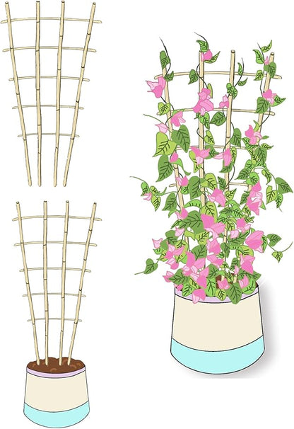Natural Bamboo Trellis, 3Feet,3Pack,Fan-Shaped Plant Support Trellis for Outdoor and Indoor Potted Climbing Plants,Vegetables, Cucumber, Tomato, Hoya,