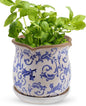 Ceramic-Planters-for-Indoor-Plants with Saucer, 6 inch Vintage Ice Crackle Glaze Plant Pots with Drainage Holes, Decorative Flower Pots for Outdoor Garden Home Decor, Tuscan Pot for Plant