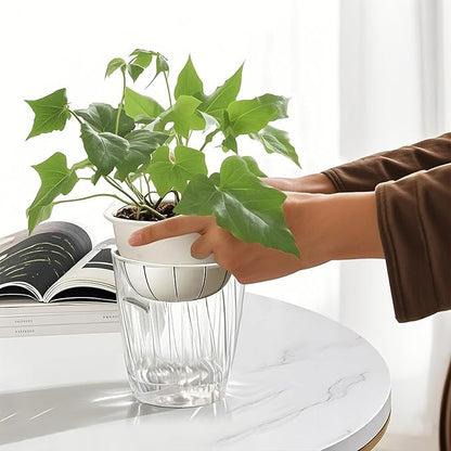 Self Watering Planters - 2 Pack, 6 Inch Transparent Flower Pots for Indoor Plants, Perfect for African Violet, Monstera, Succulents, Herbs & Decorative Flowers