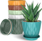 6 Pack 7 Inch Indoor Plant Pots with Drainage Holes, Outdoor Plastic Decorative Flower Pots, Garden Planters with Tray Saucers for Orchids, Violets, Succulents, Herbs, and Other Plants