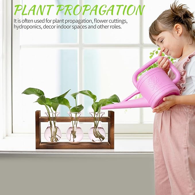 Terrarium Propagation Station with 3 Pink Glass Bulbs and Wooden Stand