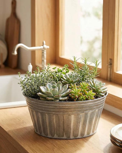 vensovo 10 Inches Silver Metal Rustic Plant Pots - 4 Pcs Large Shallow Galvanized Planters with Drain Hole and Rubber Plug, Rustproof Tin Bucket Succulent Pot Indoor Farmhouse Vintage Style for Decor