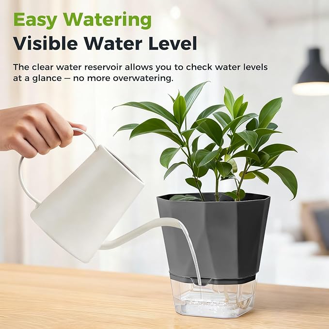 12 Pack Self Watering Plant Pots 6 Inches Self-Watering Planters for Indoor and Outdoor Plants African Violet Succulent Pots Clear Pot for Plants Large Herb Orchid Flower Houseplant Plant, Dark Grey