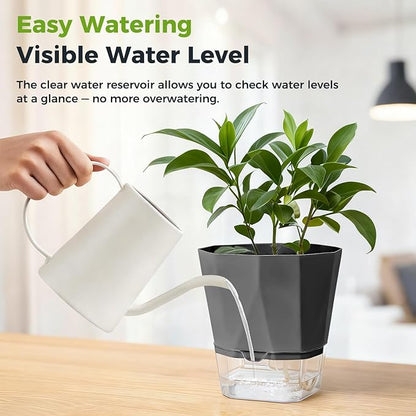 10 Pack Self Watering Pots for Indoor Plants, 6.7 Inches Self Watering Planters African Violet Pots Clear Pots for Herb Orchid Flower Houseplant, Dark Grey