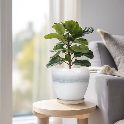 6.3 Inch Plant Pot - Ceramic Planters for Indoor Ourdoor Plants, Modern Succulent Pot, Round Planter with Drainage Hole and Saucer, Room Office Garden Home Decor, Plant Lover Gift, White-Grey