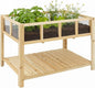 Raised Garden Bed with Transparent Acrylic Panels, Elevated Wooden Raised Garden Bed Planter, Fir Wood Outdoor Planter Box for Herbs, Flowers & Patio Balcony Gardening (Natural)