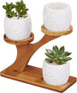 FLOWERPLUS Planter Pots Indoor, 3 Pack 3 Inch White Ceramic Decorative Small Owl Succulent Cactus Flower Plant Pot with Tree Tier Bamboo Stand for Garden Kitchen Home Office Desk Decorations