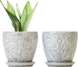 6 Inch Ceramic Planter Pots with Drainage Hole and Saucers for Indoor Plants, Garden Pots for Succulent, Orchid, and Flower - Set of 2