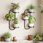 Window Plant Shelves Indoor Outdoor Wall Planters for Indoor Plants 2 Pack Metal Hanger Plant Holder for Living Room Balcony Wall Decor Black
