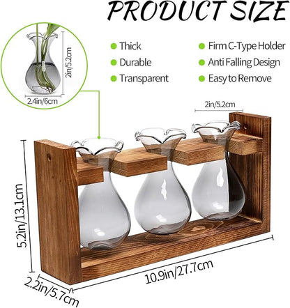 Terrarium Propagation Station with 3 Gray Glass Bulbs and Wooden Stand