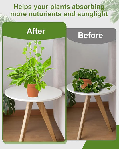 3 Pack Larger Acrylic U-Shaped Hoya Trellis, 16 Inch Indoor Climbing Plant Trellis for Plants Support with 15 Ties, Small Garden Trellis Houseplant Accessory for Potted Ivy Outdoor