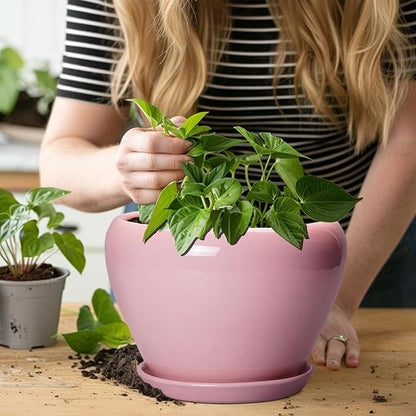 Ceramic Modern Glaze Succulent Planter Pot with Drainage Hole and Saucer 8 Inch Round Flower Plant Pot for Indoor Outdoor Herb Snake Plants, Pink