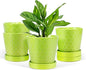 EFISPSS 5 Inch Ceramic Plant Pots Indoor, Planters with Drainage Holes and Ceramic Tray, Relief Design Flower Planter，Desktop Office Windowsill Decoration Gift Set of 4 - Green