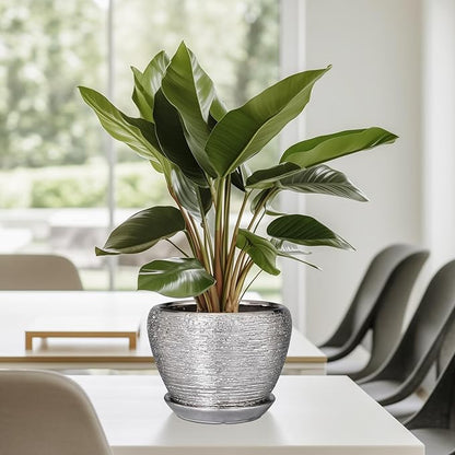 Ceramic Planter - 6 Inch Plant Pot Indoor with Drainage Hole and Saucer Outdoor Pot for Plants Round Decorative Planter Modern Mid-Century Flower Pot for Office Decor Silver