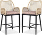 VINGLI Outdoor Counter Height Bar Stools Set of 2, Rattan Outdoor Barstools Boho Woven Patio Bar Stools with Backrest, Aluminum Frame Patio Garden Balcony Pool Bar Chairs (2 PCS)