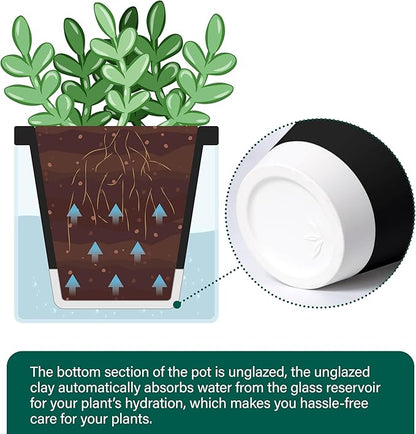 D'vine Dev 4 Inch Design Self Watering Planter for Indoor Plants, Black Terracotta Pot with Cylinder Glass Cup, Set of 2, 37-Y-A-3