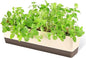 GREANER Window Boxes, 1 Pack 16 x3.8 Inch Indoor Rectangle Planter, Herb Succulent Cactus Window Box with Saucer, Modern Plastic Plant Pot for Windowsill, Garden Balcony, Home Office Outdoor Decor
