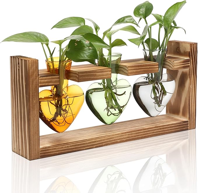 Terrarium Set Heart Shaped Glass Vases with Wood Stand, 3 Pieces