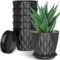 6 Pack 6 Inch Indoor Plant Pots with Drainage Holes, Outdoor Plastic Decorative Flower Pots, Garden Planters with Tray Saucers for Orchids, Violets, Succulents, Herbs, and Other Plants