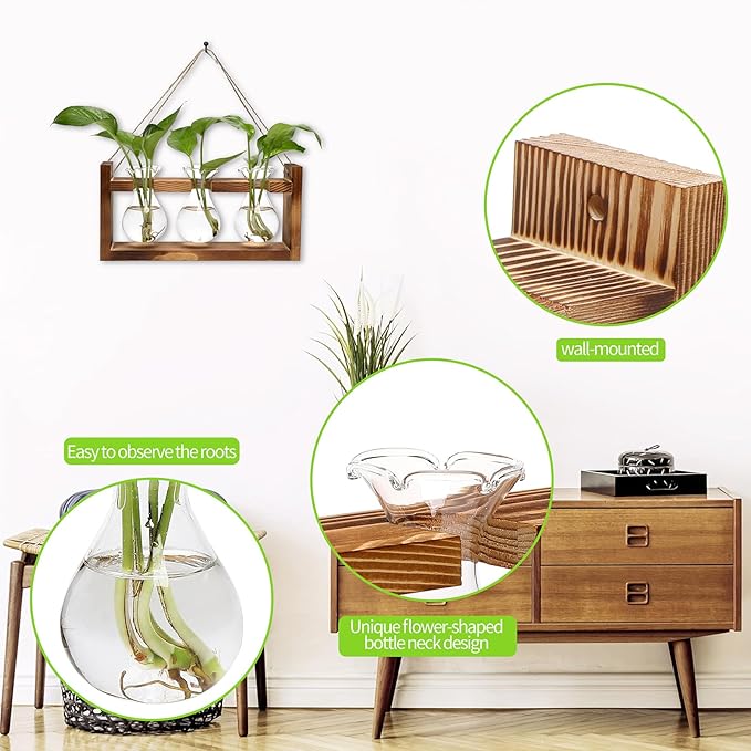 Terrarium Propagation Station, 3 Clear Borosilicate Glass Bulbs, Wooden Stand