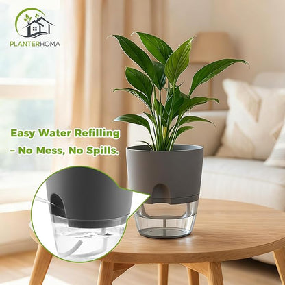 Planterhoma 6 Pack Self Watering Pots for Indoor Plants, 3.2/4/6 Inch Plant Pot Plastic Self Watering Planter for Orchid, African Violet, Small Clear Flower Pots with Drainage Holes and Wicking, Grey