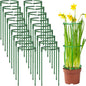 36Packs Plant Support Stake Half Round Plant Support for Indoor Plants, Stackable 3 Tier Garden Flower Support, Plant Rings for Tomato,Monstera, Peony, Hydrangea, Climbing Plants