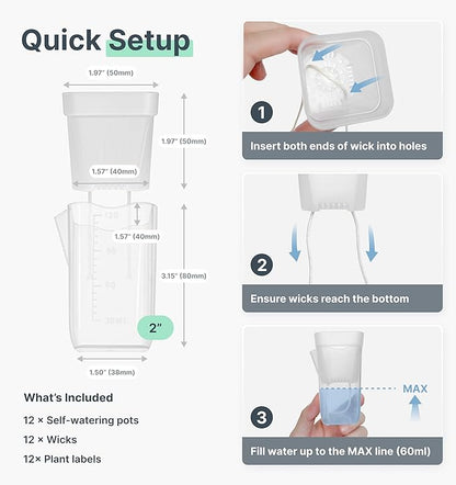 12 Pack 2" Mini Self Watering Pots for Indoor Plants,Small Clear Plastic Planters,Alocasia Corm Propagation,African Violet,Cutting,Seeding,Water Level Indicator,Drainage Hole,12 Plant Label