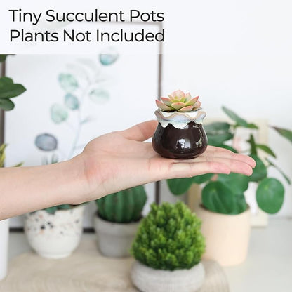 Ceramic Succulent Pots, 12-Pack Mini Planters with Flowing Glaze