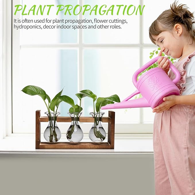 Terrarium Propagation Station with 3 Gray Glass Bulbs and Wooden Stand