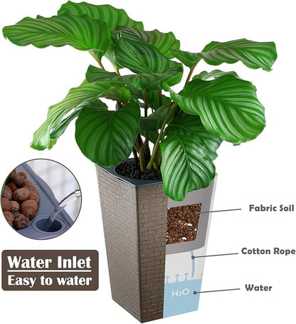 2 Pack Self Watering Planters 10.7" x 6.9" Planter for Indoor Plants Self Watering Violet Pots Plastic Flower Pots Square Planter with a Bag of Clay Pebbles, Bronze