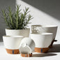 7/6.5/6/5.5/5 Inch Self Watering Pots, Plastic Flower Pots with Multi Mesh Drainage Holes and Deep Reservoir for Indoor Outdoor Garden Plants and Flowers (White, 5/5.5/6/6.5/7)