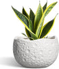 Ceramic Plant Pot - 8 Inch Round Planter with Drainage Hole, Decorative Plant Pots for Indoor Outdoor Plants, Modern Unique Flower Pots, House Living Room Decor, Housewarming Gifts, White
